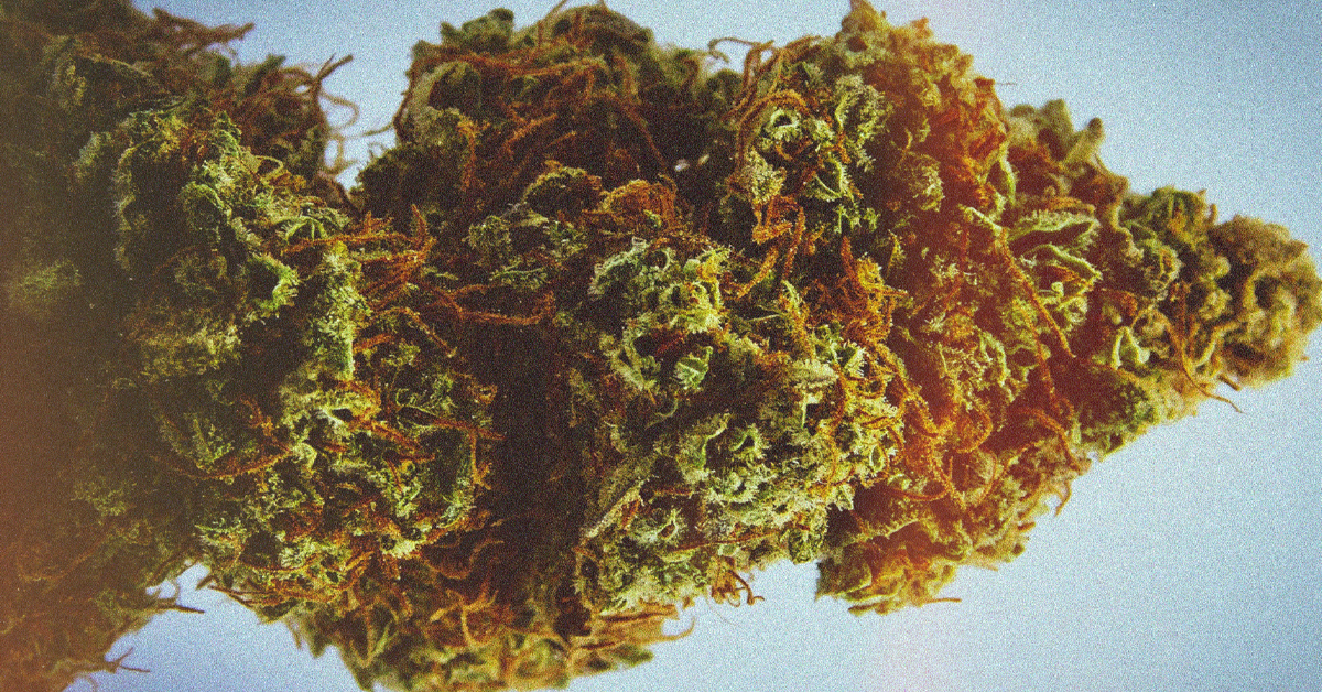 Cannabis prices down $1 to date in 2026