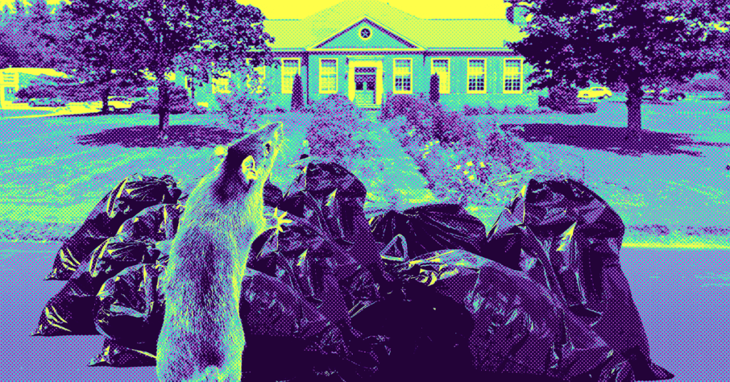 Trash Rat: A controversial trash authority starts its work