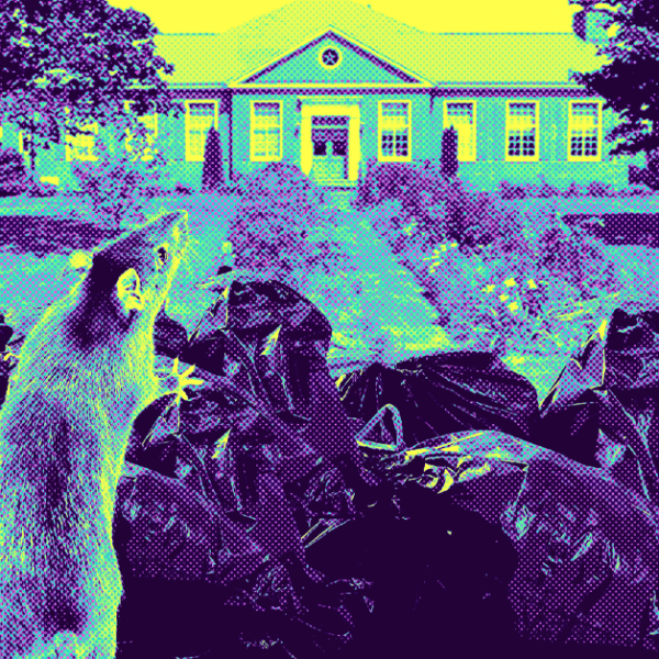 Trash Rat: A controversial trash authority starts its work
